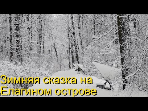 Видео: Зимняя сказка на Елагином острове
