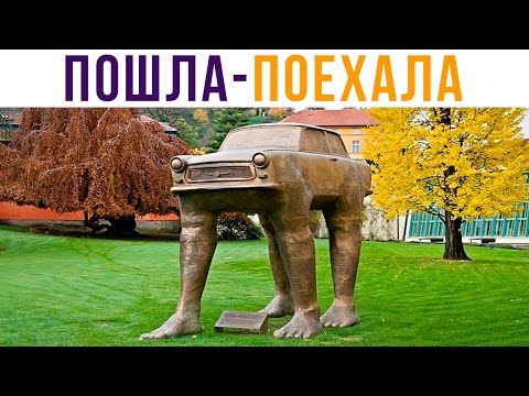 Видео: Моя кукуха) Пошла-поехала) Приколы | Мемозг 582