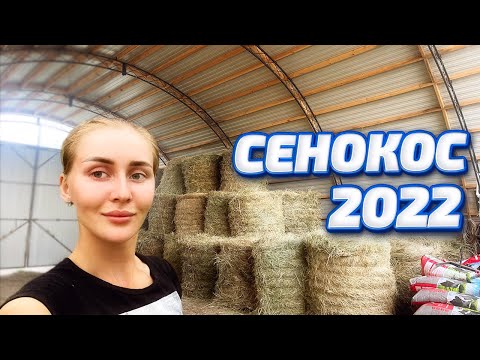 Видео: Сенокос 2022 на Новой Технике! Наша жизнь в деревне! | Молодая Ферма