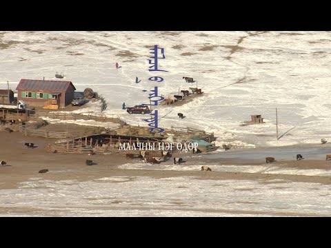 Видео: “Малчны нэг өдөр” баримтат сурвалжилга /Хөвсгөл аймгаас бэлтгэв/