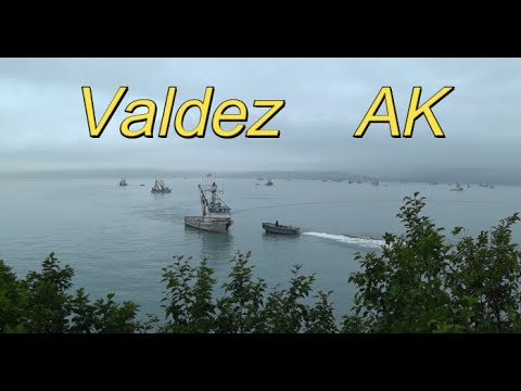 Видео: Alaska. Valdez. Fishing. Рыбалка на Аляске. Добыча лосося на тройник.