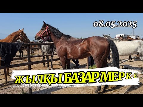 Видео: ЖЫЛҚЫ БАЗАР МЕРКЕ / МАЛ БАЗАР
