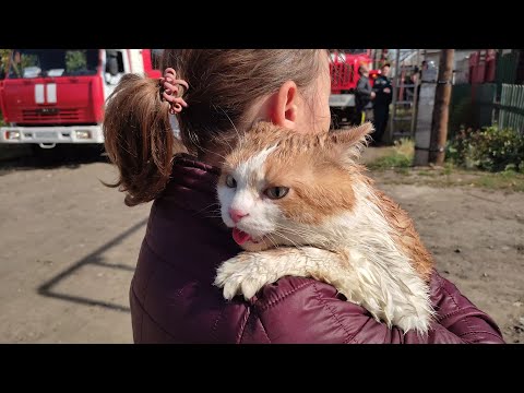 Видео: Пожар г. Курган 15.09.21 Видеооператор. Видеосъемка Курган
