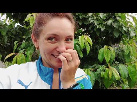 Видео: Ціни шокують...