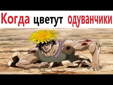 Видео: ПРИКОЛЫ! КОГДА ЦВЕТУТ ОДУВАНЧИКИ - МЕМЫ!!! Смешные видео – Доми шоу!