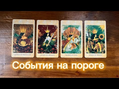 Видео: События на пороге👀💫🪐4 королевы #таро #реягадалка #4королевы #событиянапороге