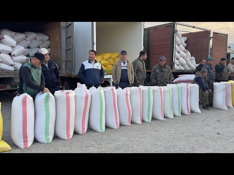 Видео: ХОРАЗМ ОПТОМ ГУРУЧ БОЗОРИ 18-ОКТЯБР ЯНГИ НАРХЛАР !!! ХОРАЗМ БОЗОР 
