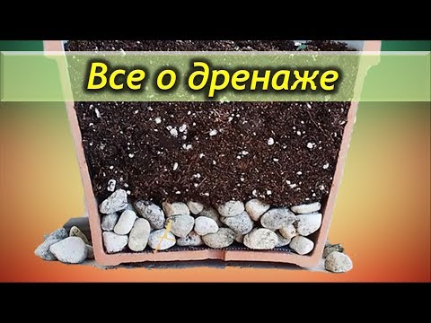 Видео: Дренаж для комнатных растений. Что собой представляет и зачем нужен дренаж.