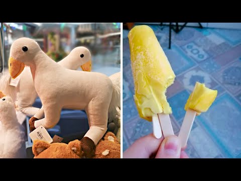 Видео: Фото подписчиков Фактории (236 часть)