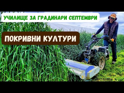Видео: Покривни култури - Училище за градинари, септември, част 2