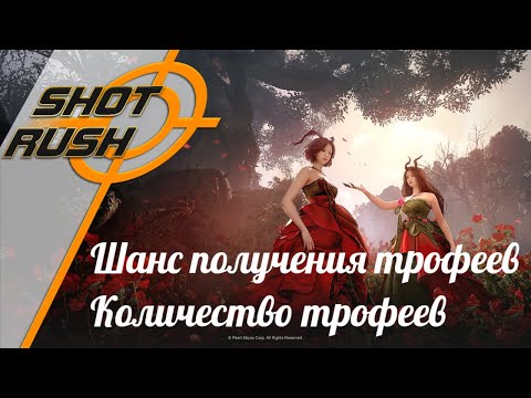 Видео: Black Desert / BD: Все способы бафа на Редкий дроп и Количество мусора