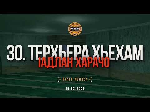 Видео: 30. Терхьера хьехам - Мархийн бутт дӀабели