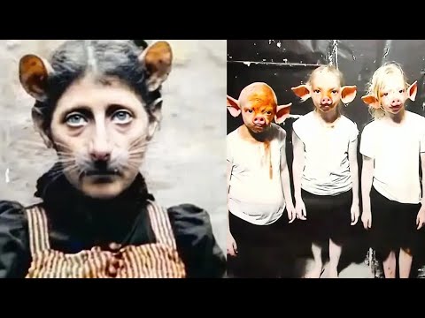 Видео: в глухой Тайге Нашли Приют Годами Скрывающийся от Людей и Мир Узнал их Ужасную Тайну. 2 Истории ТОП