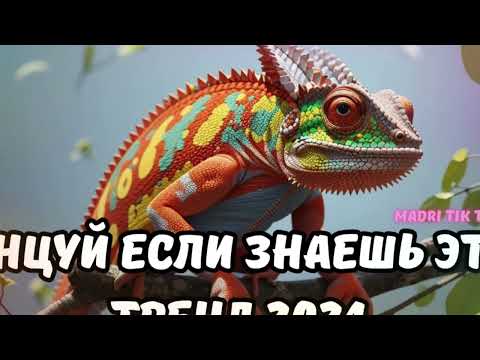 Видео: 💗ТАНЦУЙ ЕСЛИ ЗНАЕШЬ ЭТОТ ТРЕНД 2024💗