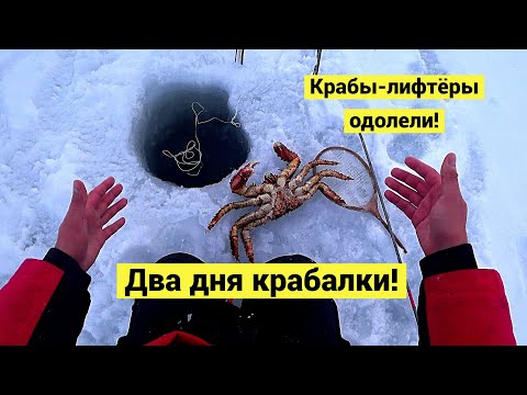 Видео: Два дня крабалки. Успели урвать краба перед пургой