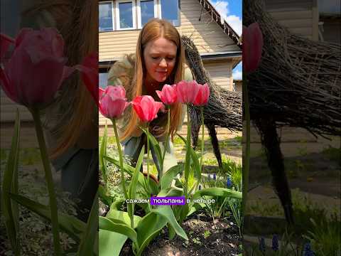 Видео: БОЛЬШЕ НИКОГДА НЕ ЗАМОРАЧИВАЮСЬ С ТЮЛЬПАНАММ! ВСЕГО 4 ШАГА