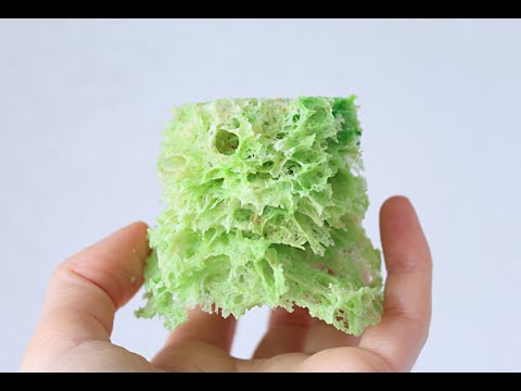 Видео: Мох бисквитный / Sponge moss