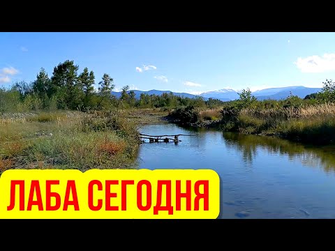Видео: Псебай  Малая Лаба Колбасит конкретно. Паводок Кавказ, Мостовской, Поход, горы