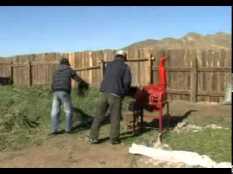 Видео: Эрдэнэшишийн дарш