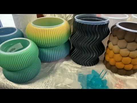 Видео: Выставка комнатных цветов в Воронеже. Очень много красивых цветов!🪴