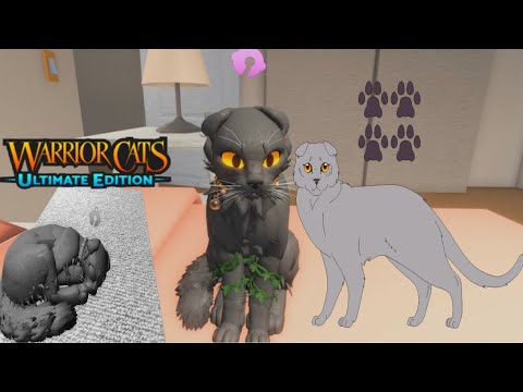 Видео: Шотландский кот в роблокс-коты воители. По просьбе подписчика. / warrior cats