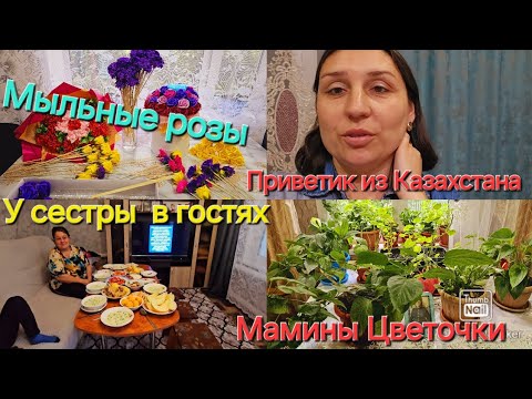 Видео: Влог из Костанайской области🇰🇿🇩🇪/Мыльные розы/ Мамины цветочки/ У сестры в гостях👍😋/Родина Казахстан