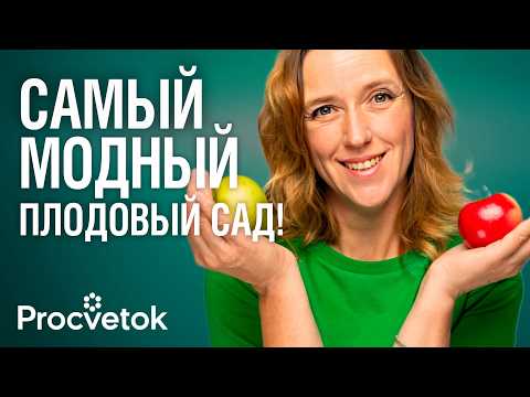 Видео: ЖИВАЯ ИЗГОРОДЬ ИЗ ЯБЛОНЬ И ГРУШ! Сажаем плодовые деревья на шпалеру и урожай получаем слаще и больше