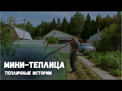 Видео: Мини-теплица / Тепличные истории / Выпуск 4