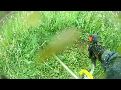 Видео: ZimAni FS450K тест - покос. Валим одуваны.#zimani #stihl