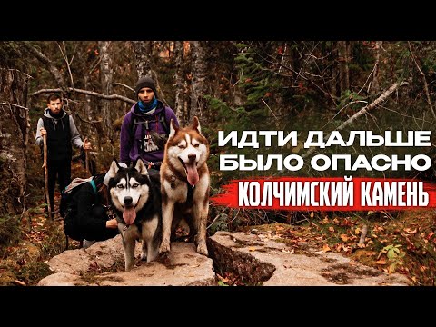 Видео: ВВЕРХ ПО СКАЛАМ С СОБАКАМИ | ДОГТРЕКИНГ С ХАСКИ НА КОЛЧИМСКИЙ КАМЕНЬ