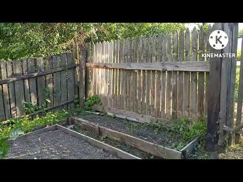 Видео: Что мы сделали около дома.