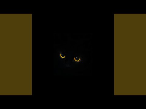 Видео: Когда я стану кошкой