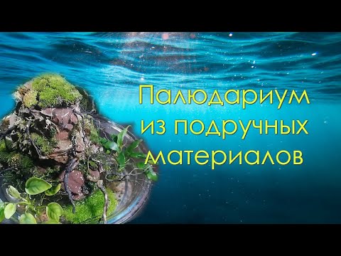 Видео: Палюдариум из подручных материалов