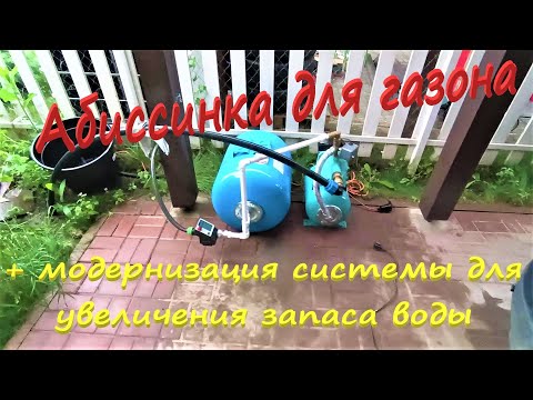Видео: Абиссинка для газона // В 5 метрах от рабочей разрез без песка // Увеличение объема воды для полива