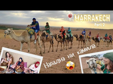 Видео: Маракеш 🇲🇦 Берберско шоу в пустинята, градините Мажорел и най-доброто от площад Джемаа ел Фна