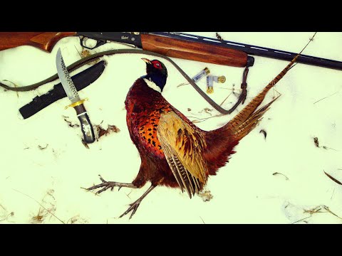 Видео: Зимен Лов край река Вит (Част-1) HD