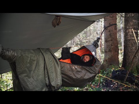 Видео: Гамак, речка, лес
