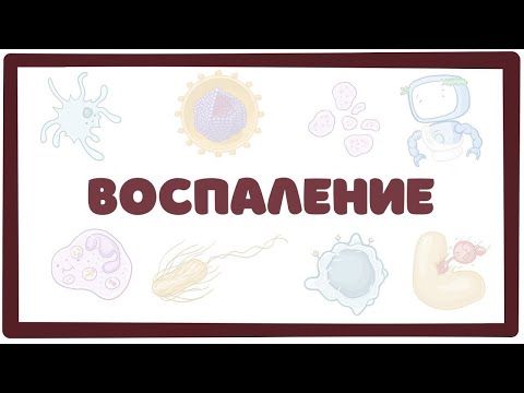Видео: Воспаление - патофизиология, основные компоненты патогенеза воспалительного процесса