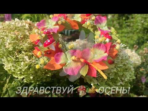 Видео: 1 сентября 2024 г.