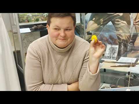 Видео: Мастер - класс брошь "Хорошего настроения" от Тамары Паниной