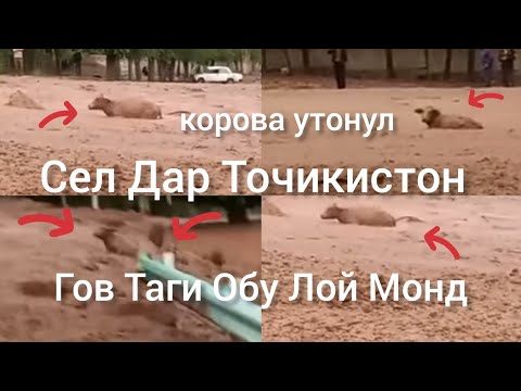 Видео: Сел дар Точикистон ДУОГУ БОШЕД ДУСТОН