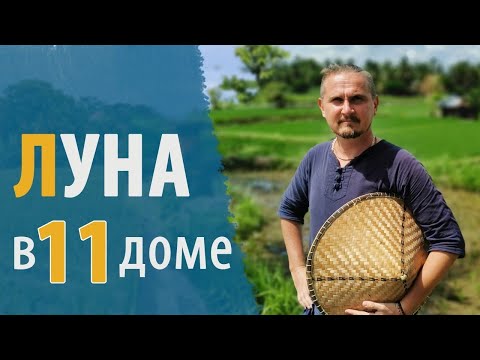 Видео: ЛУНА в 11 ОДИННАДЦАТОМ ДОМЕ | Дмитрий Пономарев