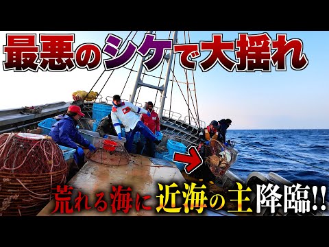 Видео: Самый большой волосатый краб, когда-либо пойманный в Японии