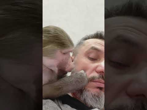 Видео: Никуша обиделась на папу!🤦‍♂️нельзя ей ничего говорить обидного!!!🤭🤭🤭