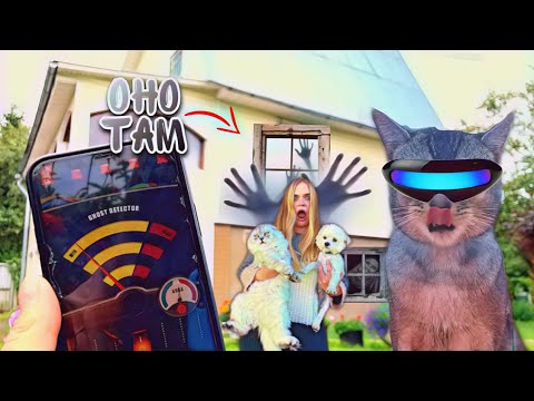 Видео: ПРОВЕРЯЕМ НА ПРИЗРАКОВ ДОМ С КОТАМИ! УВИДЕЛИ СТРАШНОЕ