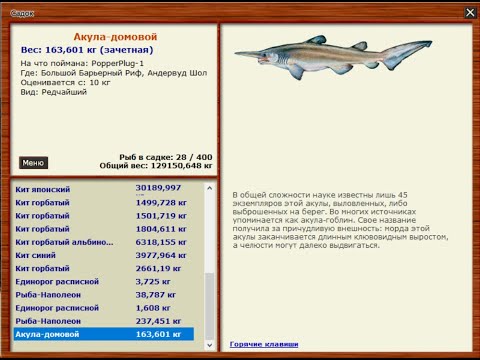 Видео: Акула-домовой, Бельдюга Андрияшева и др - Русская рыбалка 3.9