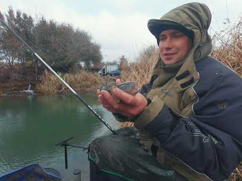 Видео: Ловля Уклейки на мах в конце Ноября!