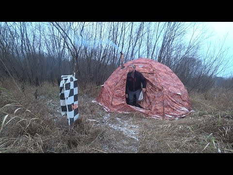 Видео: В ТАЙГУ В ОЖИДАНИИ ПЕРВОГО ЛЬДА! ОДИН НА РЕКЕ В ОГРОМНЫХ АПАРТАМЕНТАХ \ НОЧЬ НА НАЛИМА В МИНУС ПЯТЬ!