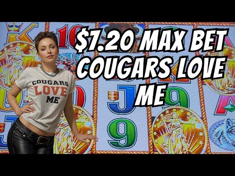 Видео: Пумы любят меня $7.20 Максимальная ставка Buffalo #2025 #4k