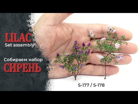 Видео: Сирень фототравлёная - сборка